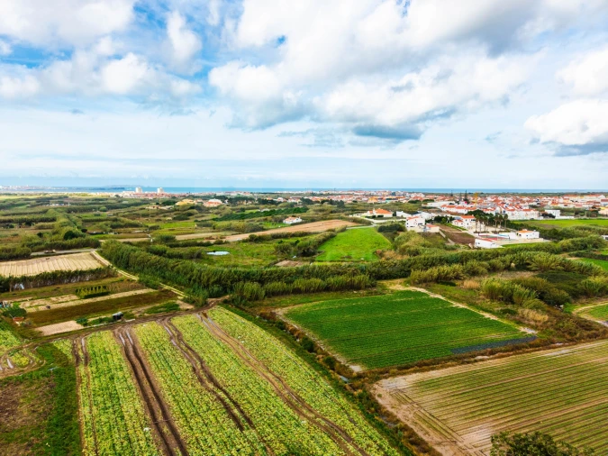 Terreno para Venda em Atouguia da Baleia Foto 8