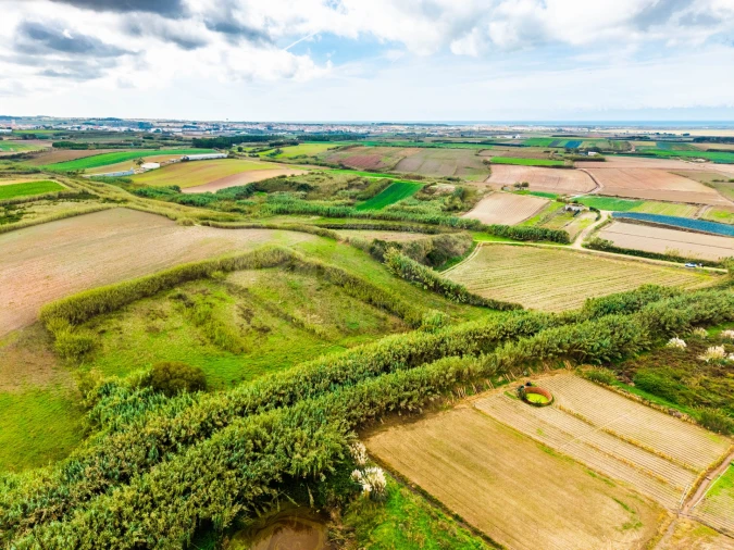 Terreno para Venda em Atouguia da Baleia Foto 5