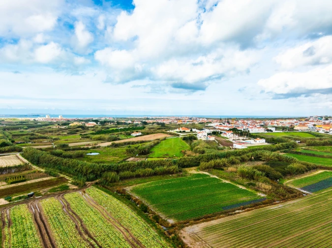 Terreno para Venda em Atouguia da Baleia Foto 9
