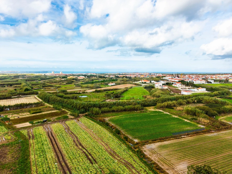 Terreno para Venda em Atouguia da Baleia Foto 8