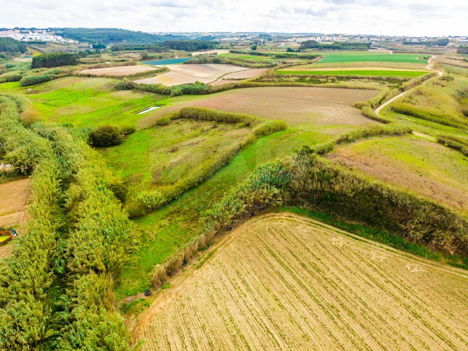 Terreno para Venda em Atouguia da Baleia Foto 2