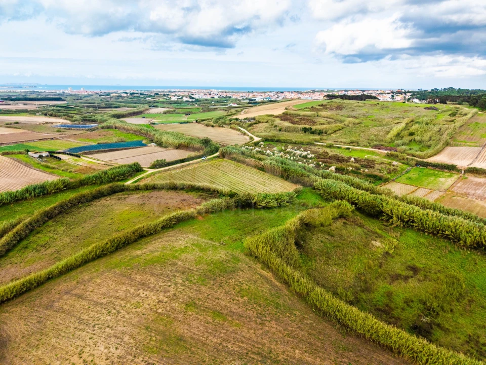 Terreno para Venda em Atouguia da Baleia Foto 7