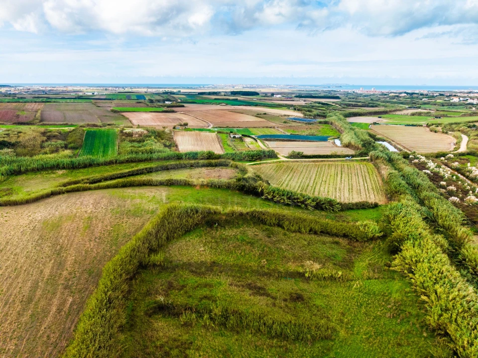 Terreno para Venda em Atouguia da Baleia Foto 6