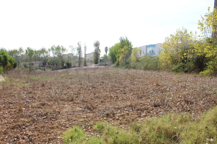 Terreno para Venda em Lourinhã e Atalaia Foto 3