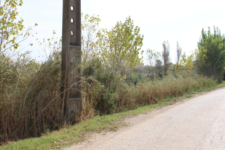 Terreno para Venda em Lourinhã e Atalaia Foto 6