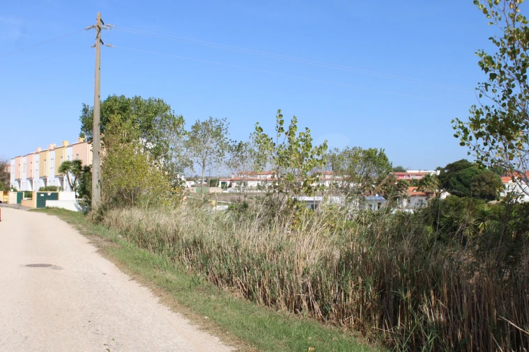 Terreno para Venda em Lourinhã e Atalaia Foto 8