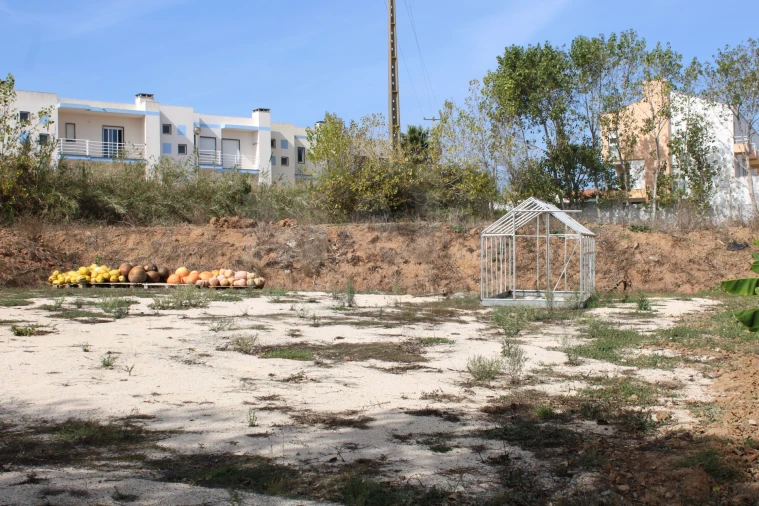 Terreno para Venda em Lourinhã e Atalaia Foto 5