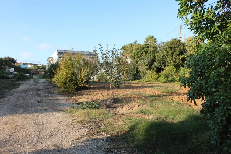 Terreno para Venda em Lourinhã e Atalaia Foto 9