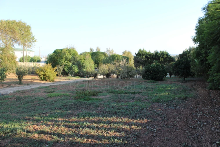 Terreno para Venda em Lourinhã e Atalaia Foto 12
