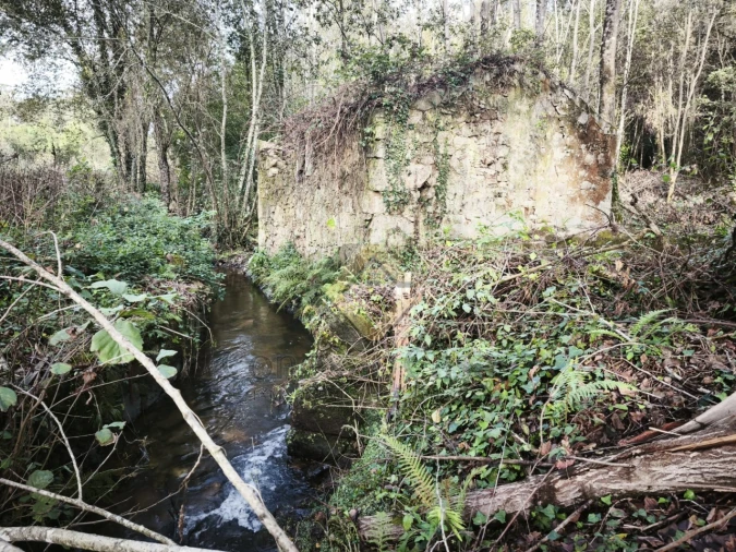Terreno Agricola ou Rústico para Venda em Pedroso e Seixezelo Foto 3