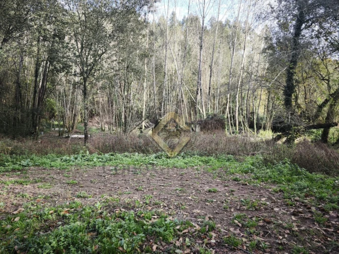 Terreno Agricola ou Rústico para Venda em Pedroso e Seixezelo Foto 2