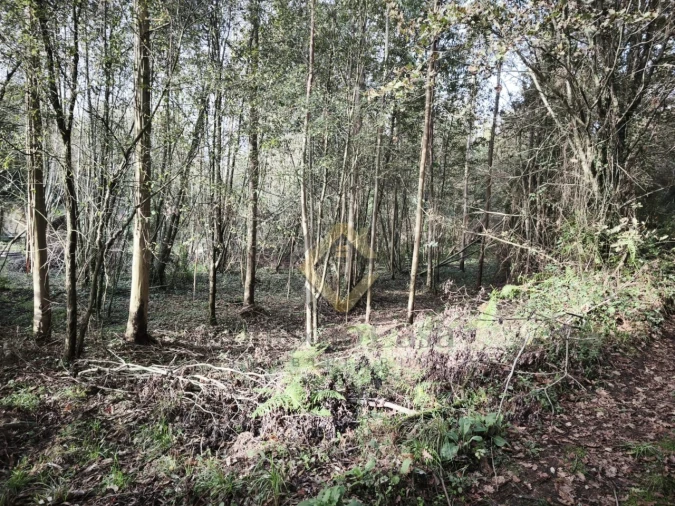 Terreno Agricola ou Rústico para Venda em Pedroso e Seixezelo Foto 6