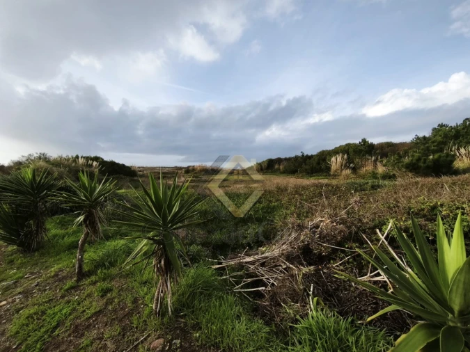 Terreno para Venda em Madalena