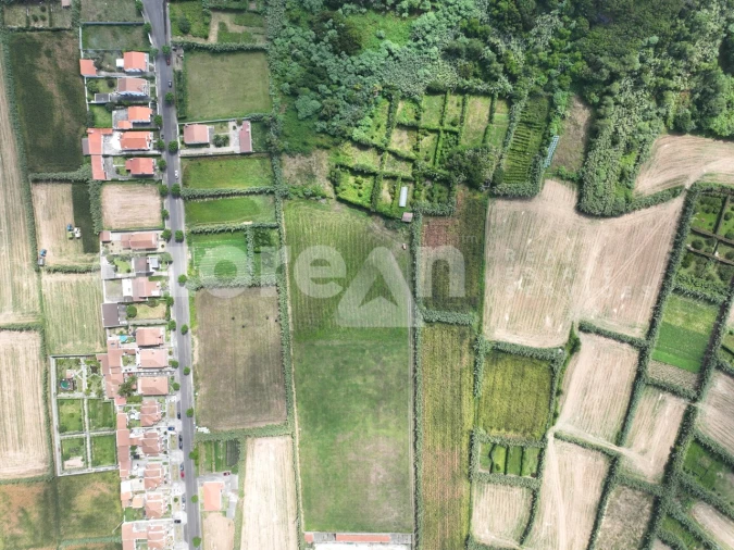 Terreno para Venda em Mosteiros Foto 5