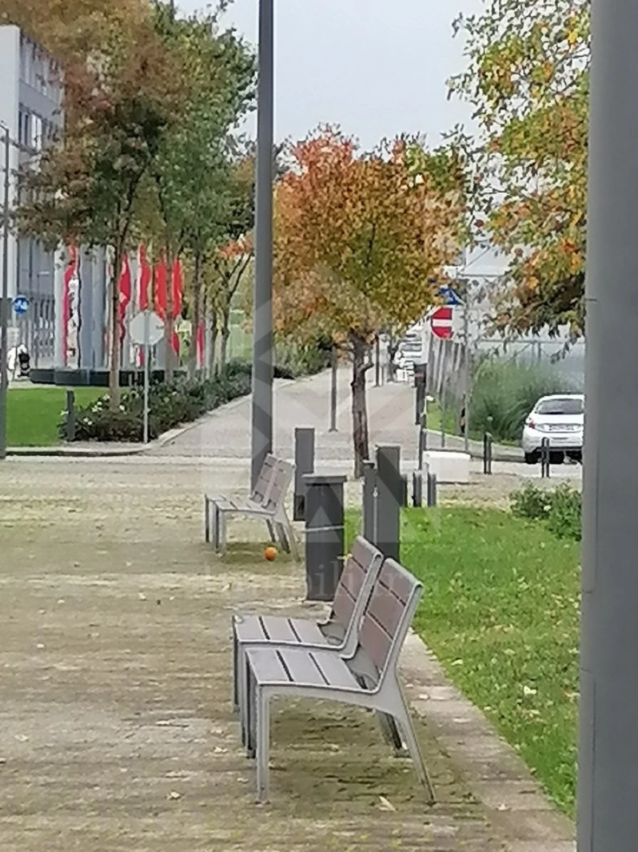 Moradia T3 para Venda em Bougado (São Martinho e Santiago) Foto 5