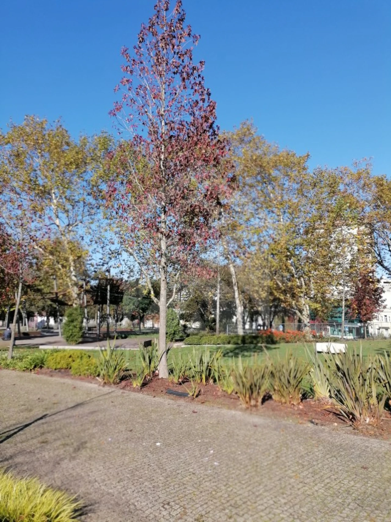 Moradia T3 para Venda em Bougado (São Martinho e Santiago) Foto 11