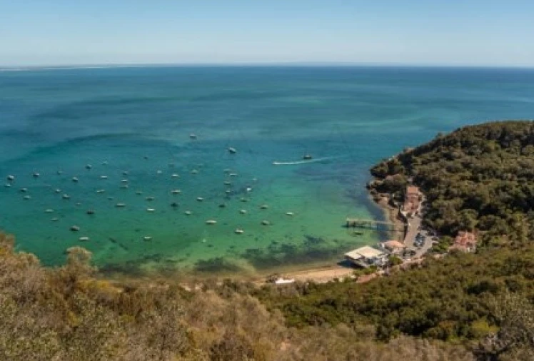 Apartamento T1 para Venda em União das Freguesias de Setúbal Foto 23