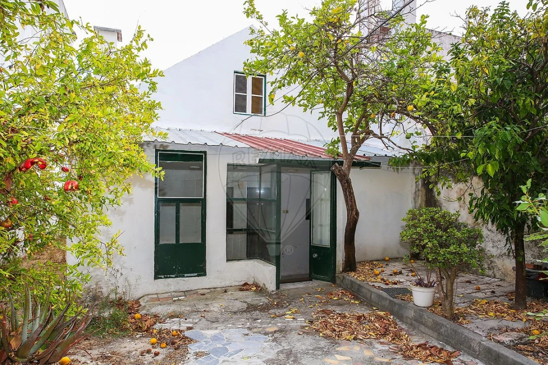 Moradia T3 para Venda em Cartaxo e Vale da Pinta Foto 32