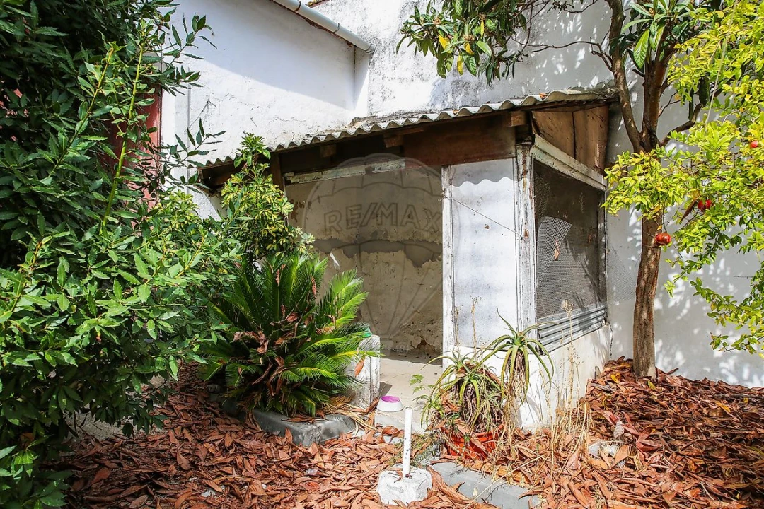 Moradia T3 para Venda em Cartaxo e Vale da Pinta Foto 39