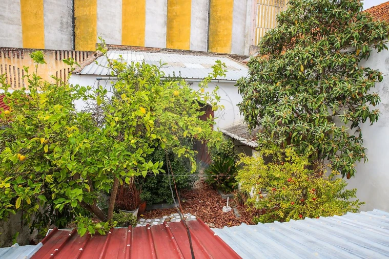 Moradia T3 para Venda em Cartaxo e Vale da Pinta Foto 34