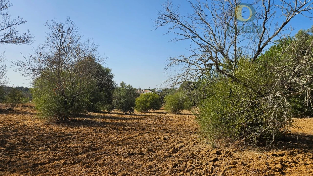 Terreno Agricola ou Rústico para Venda em Moncarapacho e Fuseta Foto 6