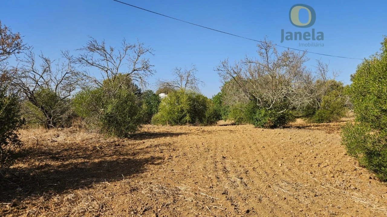 Terreno Agricola ou Rústico para Venda em Moncarapacho e Fuseta Foto 10