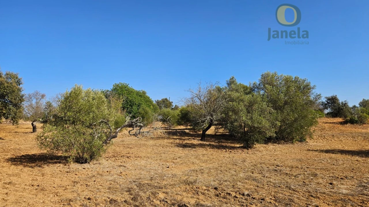 Terreno Agricola ou Rústico para Venda em Moncarapacho e Fuseta Foto 14