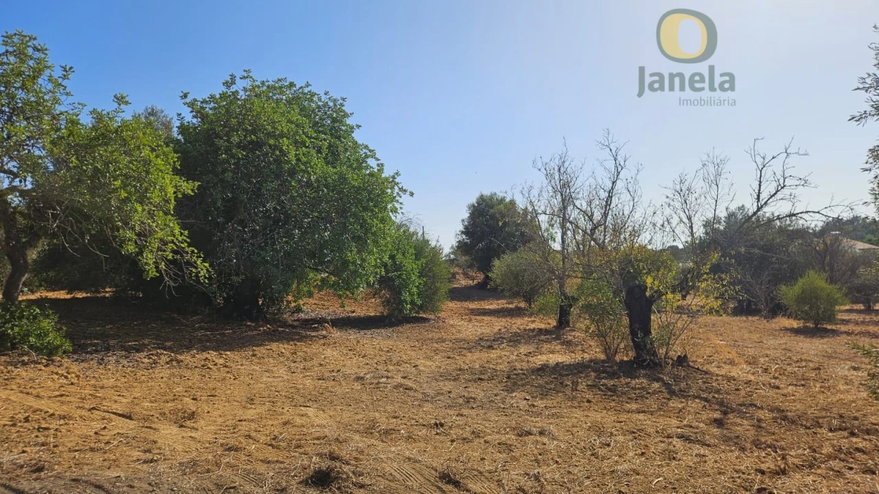 Terreno Agricola ou Rústico para Venda em Moncarapacho e Fuseta Foto 17