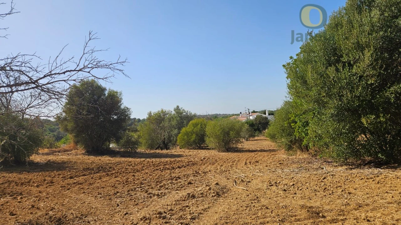 Terreno Agricola ou Rústico para Venda em Moncarapacho e Fuseta Foto 18