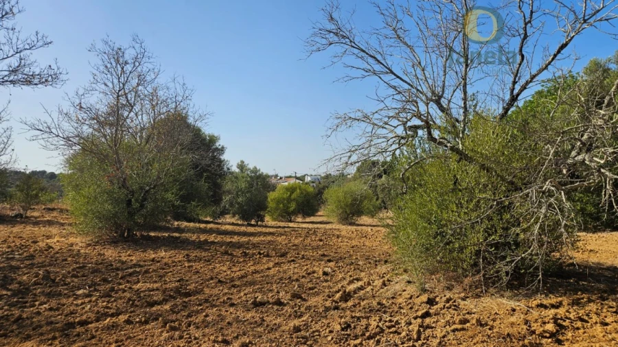 Terreno Agricola ou Rústico para Venda em Moncarapacho e Fuseta Foto 6