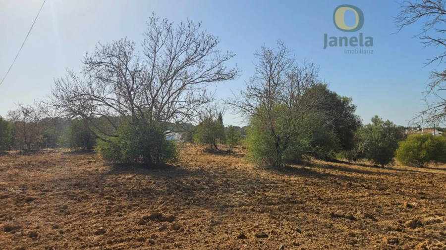 Terreno Agricola ou Rústico para Venda em Moncarapacho e Fuseta Foto 7
