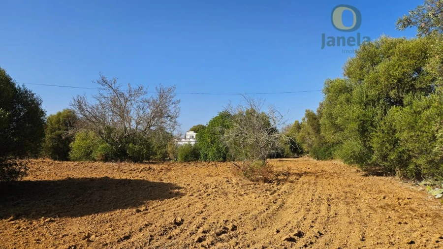 Terreno Agricola ou Rústico para Venda em Moncarapacho e Fuseta Foto 8
