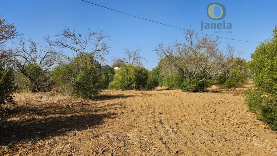 Terreno Agricola ou Rústico para Venda em Moncarapacho e Fuseta Foto 10
