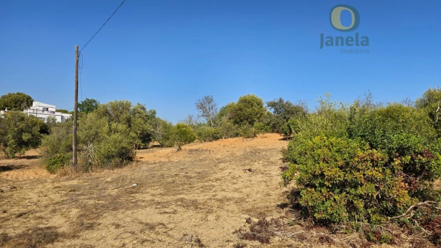Terreno Agricola ou Rústico para Venda em Moncarapacho e Fuseta Foto 11