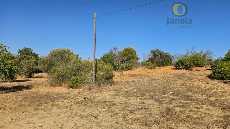 Terreno Agricola ou Rústico para Venda em Moncarapacho e Fuseta Foto 12