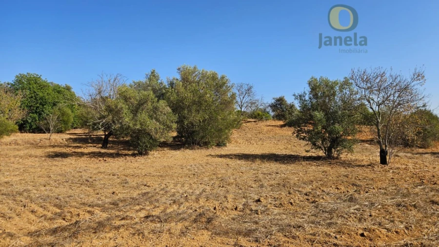 Terreno Agricola ou Rústico para Venda em Moncarapacho e Fuseta Foto 13