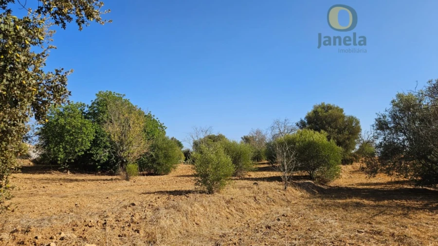 Terreno Agricola ou Rústico para Venda em Moncarapacho e Fuseta Foto 15