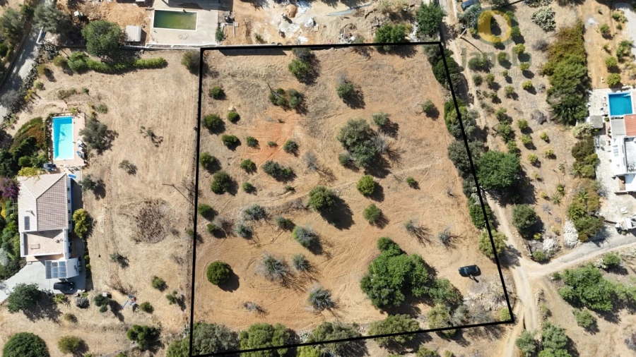 Terreno Agricola ou Rústico para Venda em Moncarapacho e Fuseta Foto 4