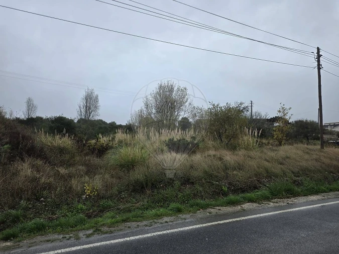 Terreno para Venda em Almargem do Bispo, Pêro Pinheiro e Montelavar Foto 4