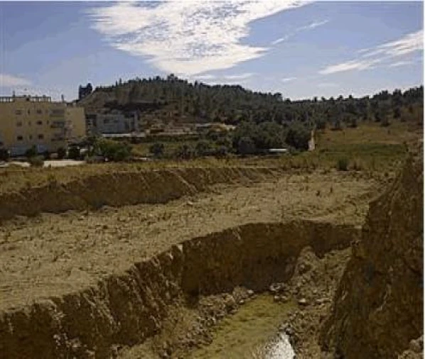 Terreno para Venda em Eiras e São Paulo de Frades Foto 5