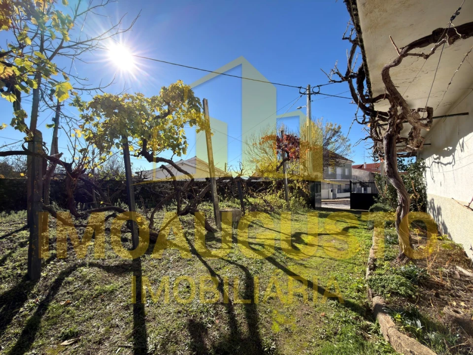 Moradia T4 para Venda em Ruvina, Ruivós e Vale das Éguas Foto 20