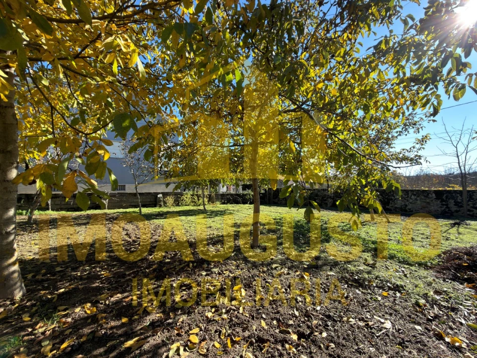 Moradia T4 para Venda em Ruvina, Ruivós e Vale das Éguas Foto 21