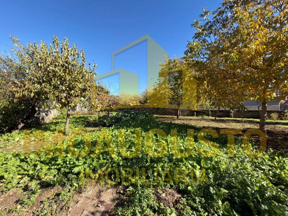 Moradia T4 para Venda em Ruvina, Ruivós e Vale das Éguas Foto 22