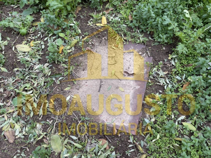 Moradia T4 para Venda em Ruvina, Ruivós e Vale das Éguas Foto 25