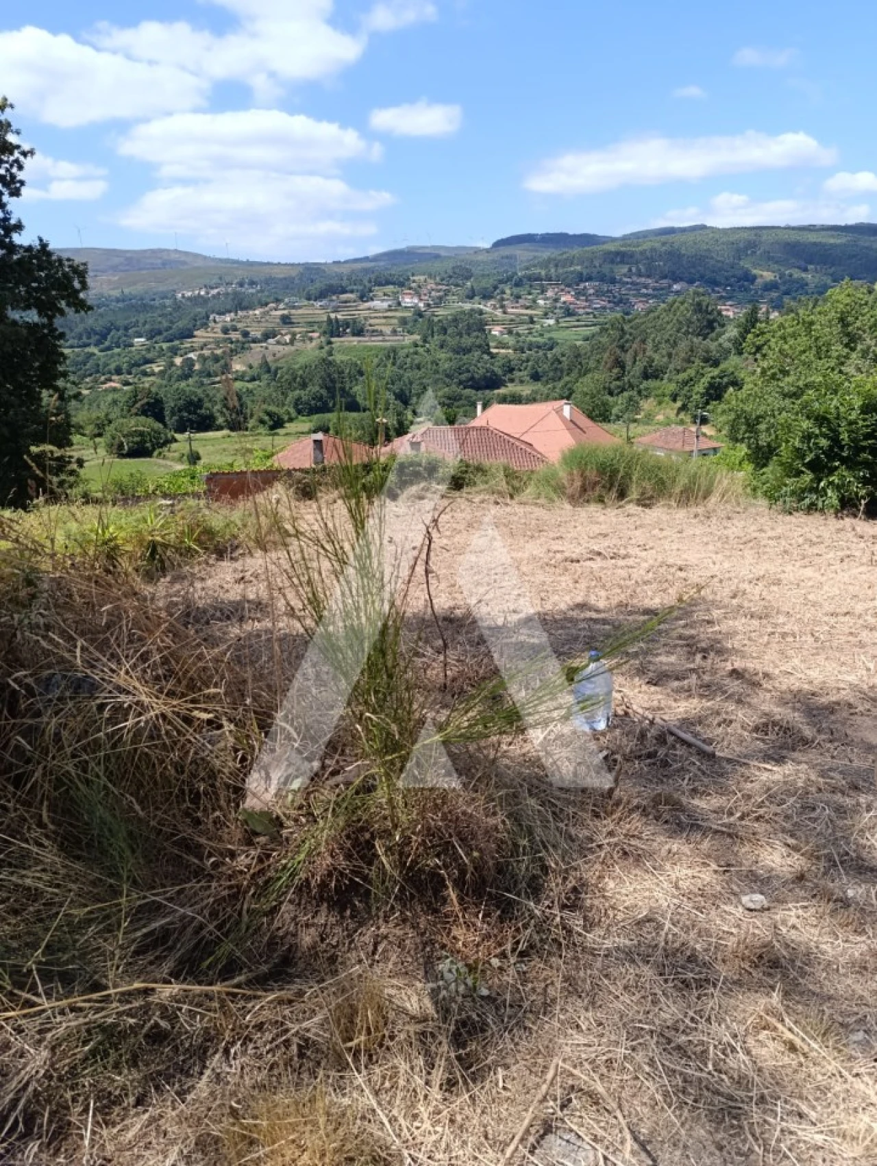 Terreno para Venda em Insalde e Porreiras Foto 3