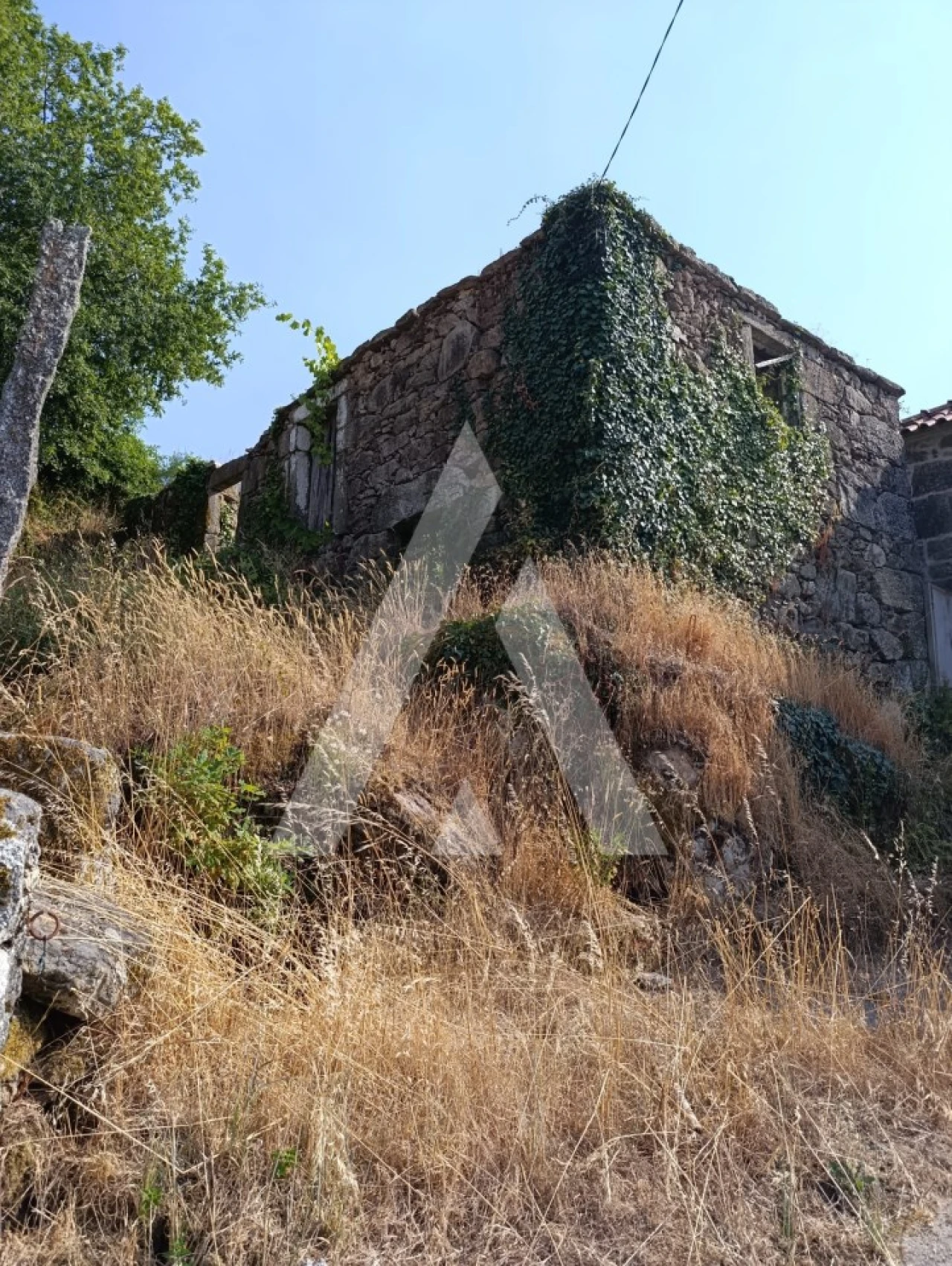 Terreno para Venda em Insalde e Porreiras Foto 4