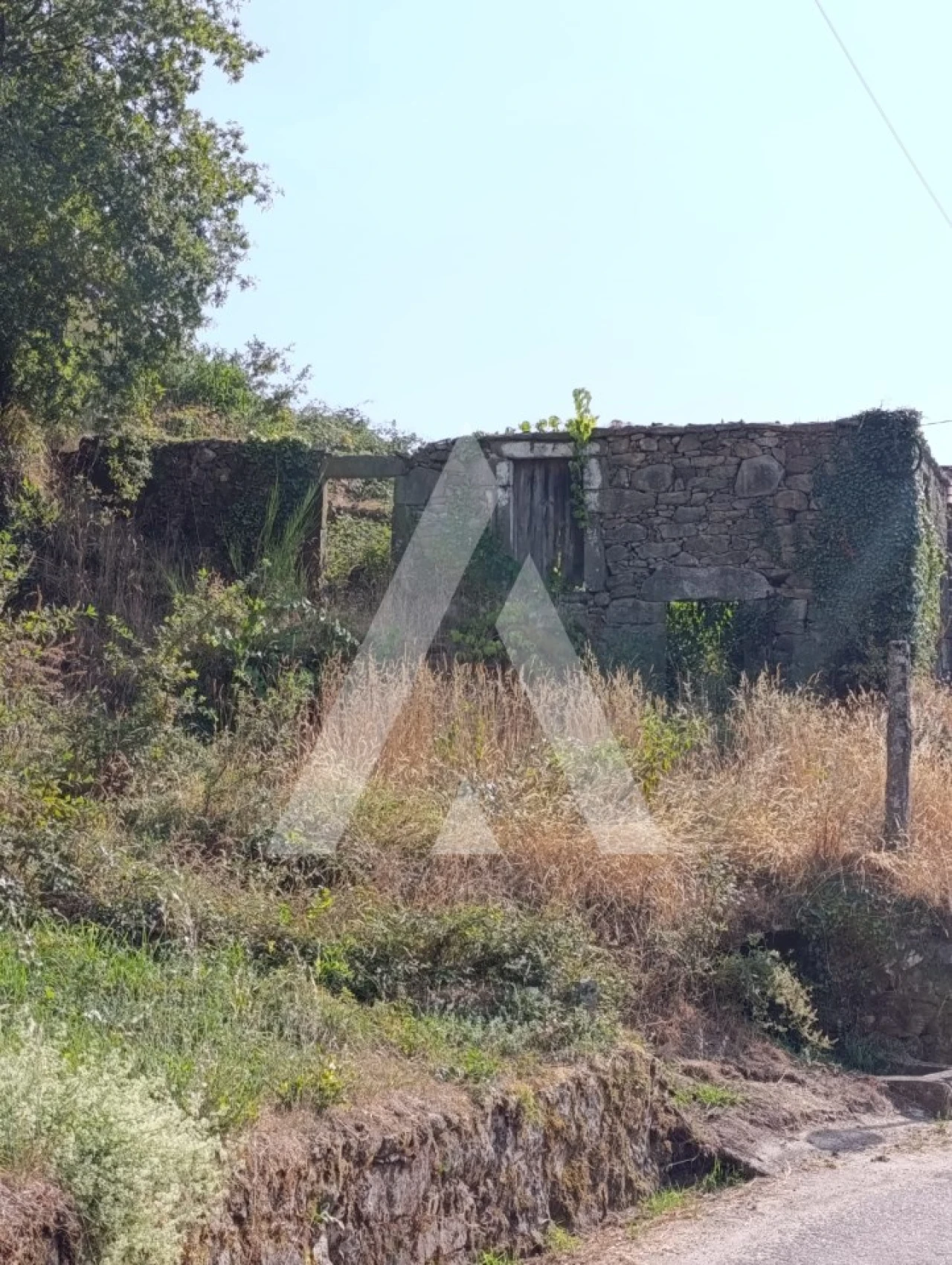Terreno para Venda em Insalde e Porreiras Foto 5