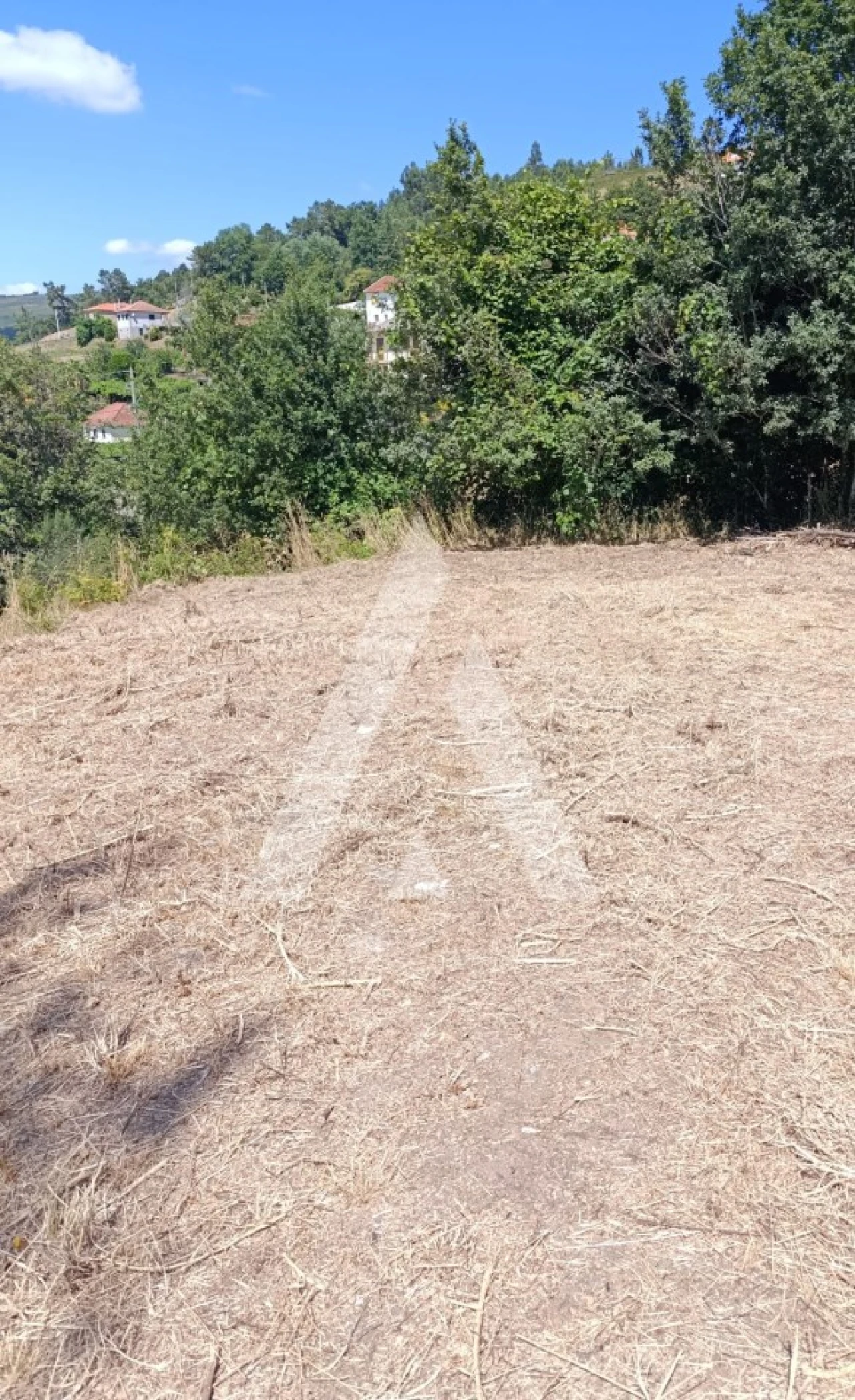 Terreno para Venda em Insalde e Porreiras Foto 6