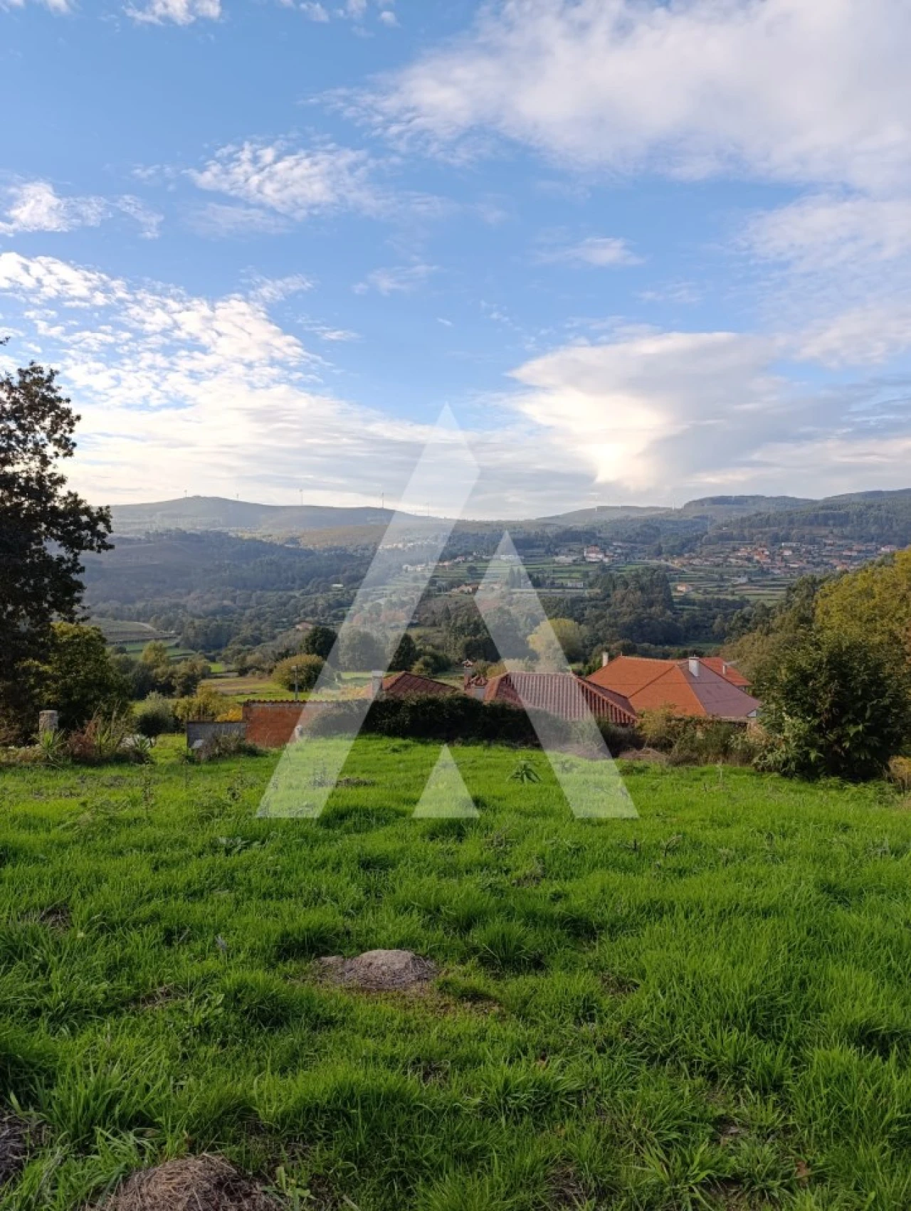 Terreno para Venda em Insalde e Porreiras Foto 1