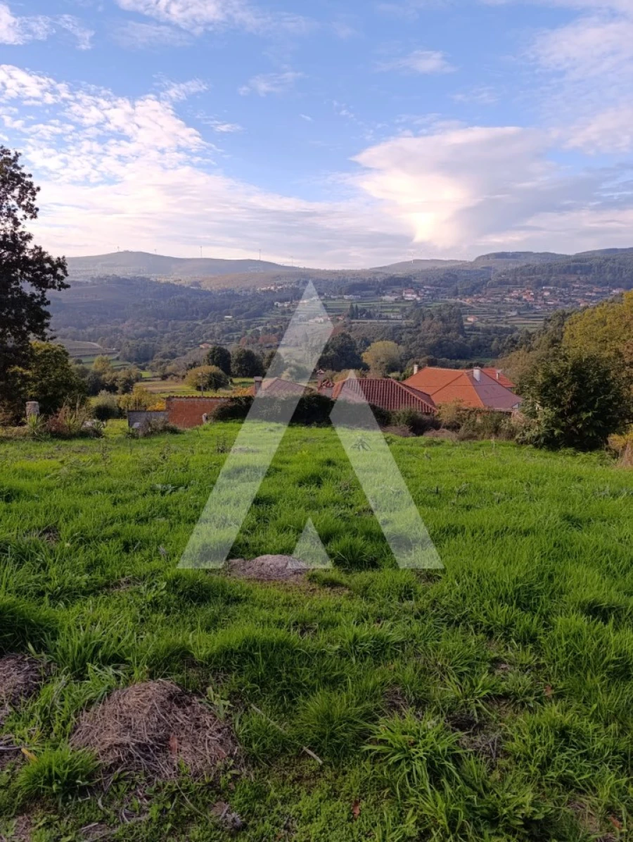 Terreno para Venda em Insalde e Porreiras Foto 2